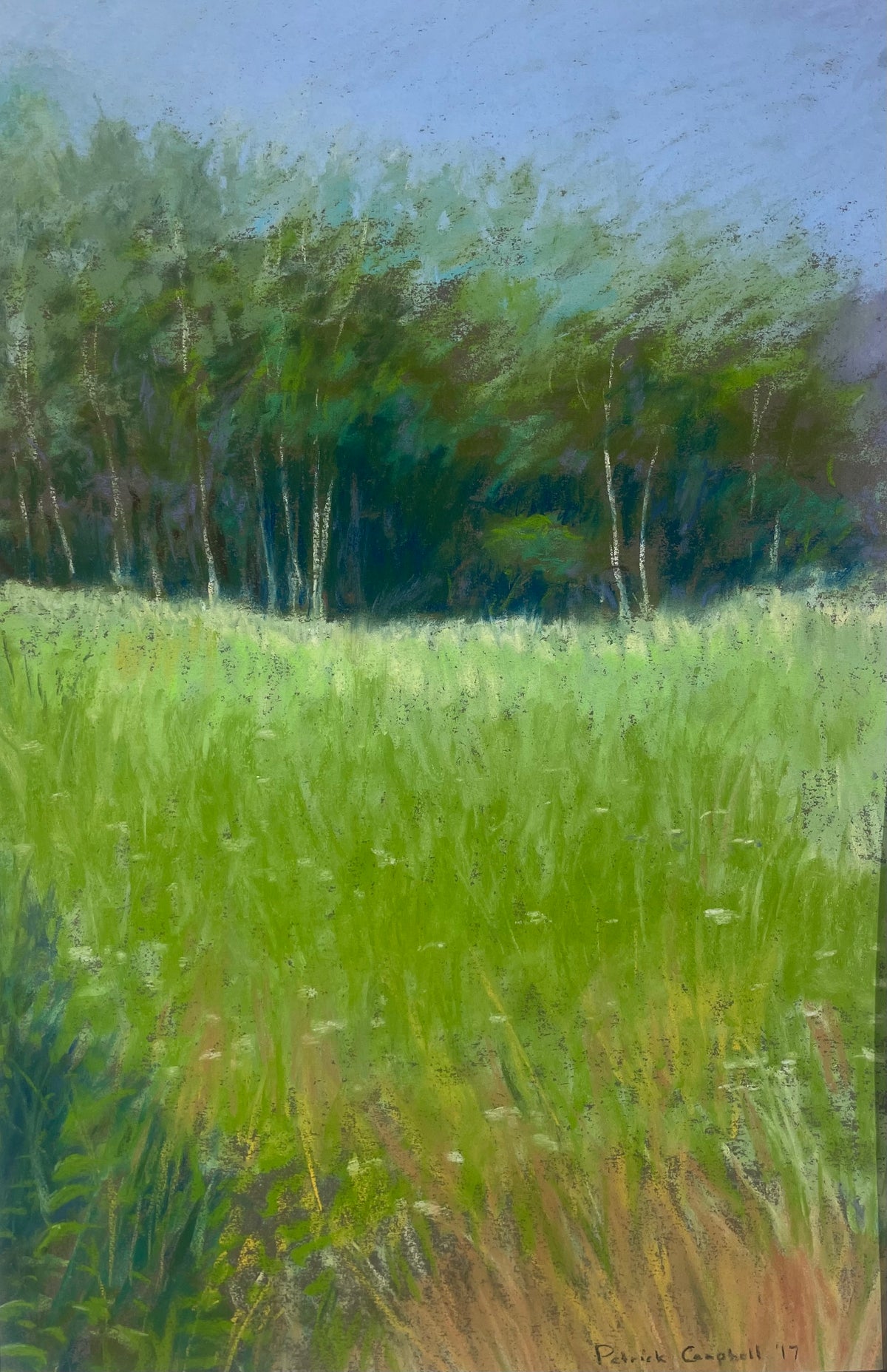 Patrick Campbell – Gentle Grove, original painting in pastel on sanded paper