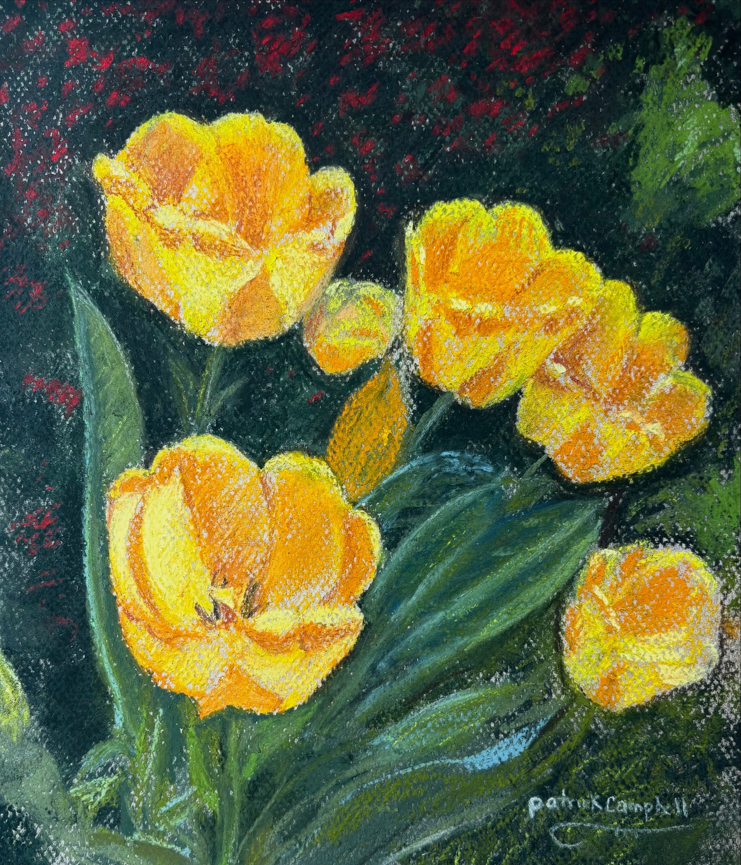 Yellow Tulips