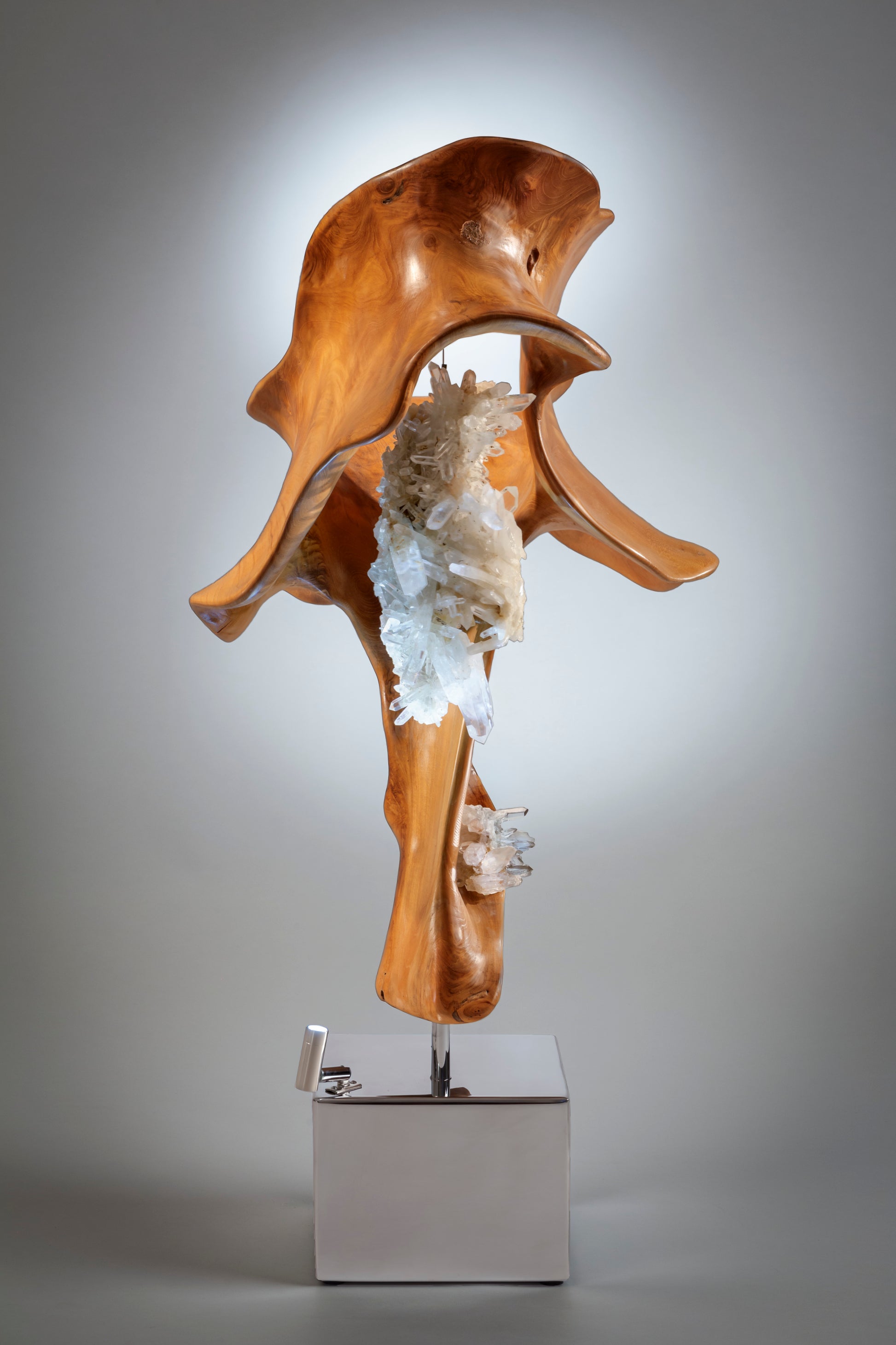 Mahoni Wood, Quartz Crystal, High Polish Stainless-Steel Base, LED Lights, Dorit Schwartz