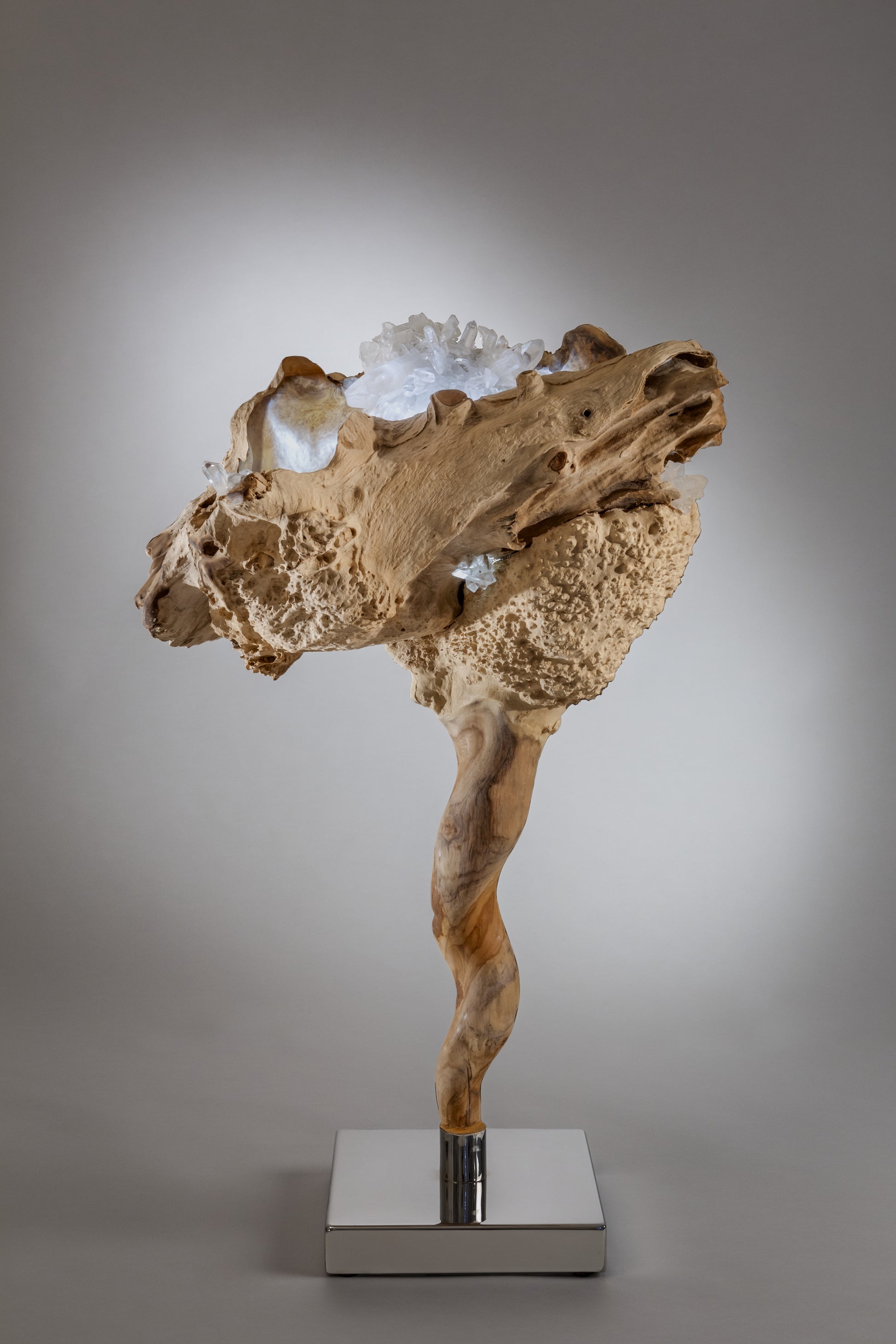 Dorit Schwartz, Teak Root and Quartz Crystal, High Polish Stainless-Steel, LED Light