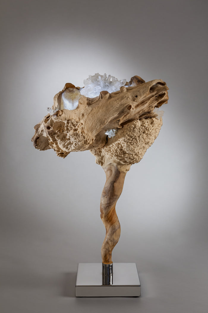 Dorit Schwartz – Higher Consciousness, original sculpture in teak root and quartz crystal, view 1 of 2