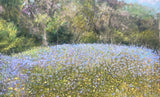 Patrick Campbell – Field of Blue, original painting in pastel and watercolor on sanded paper