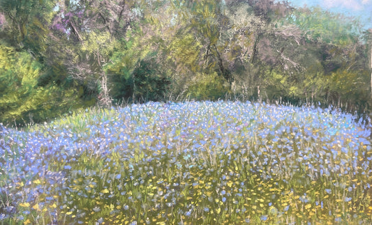 Field of Blue