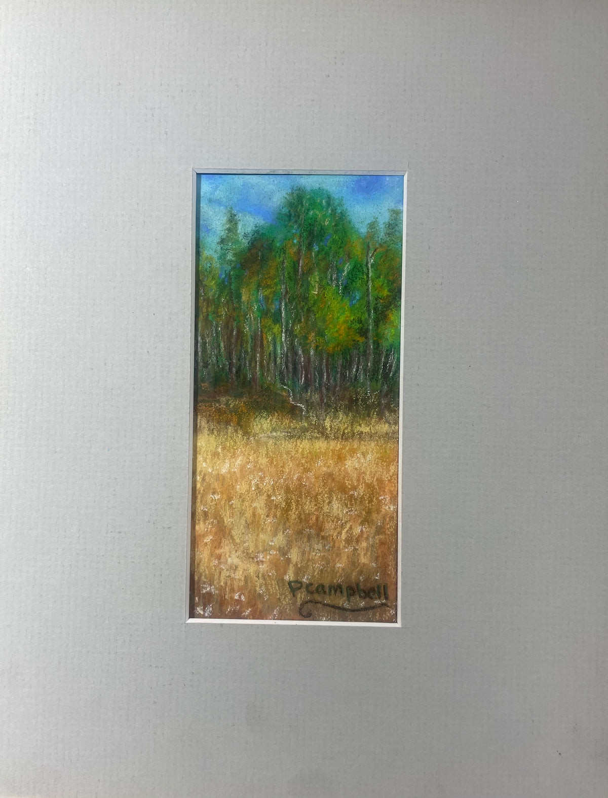 Patrick Campbell – Golden Field, original painting in pastel on sanded paper