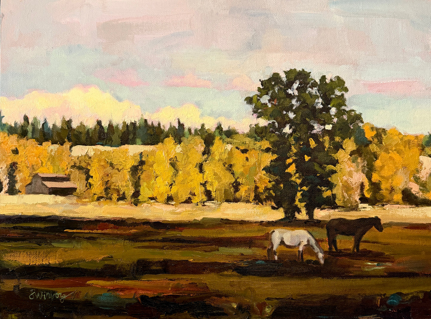 Fall Shadows
