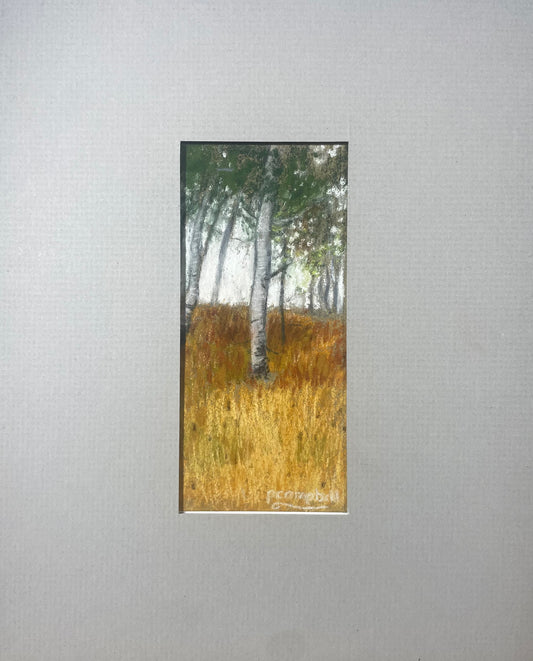 One Aspen