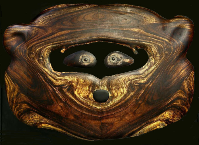 Derek Monturiol – The Bear, original work in Guanacaste wood, resin and frame, view 1 of 2