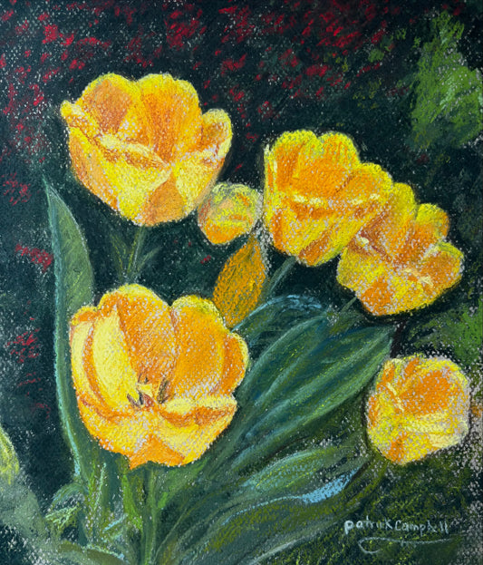 Yellow Tulips