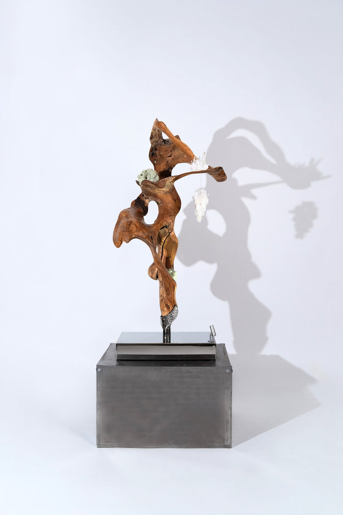 Dorit Schwartz – Silent Flow, original sculpture in teak wood, view 1 of 2