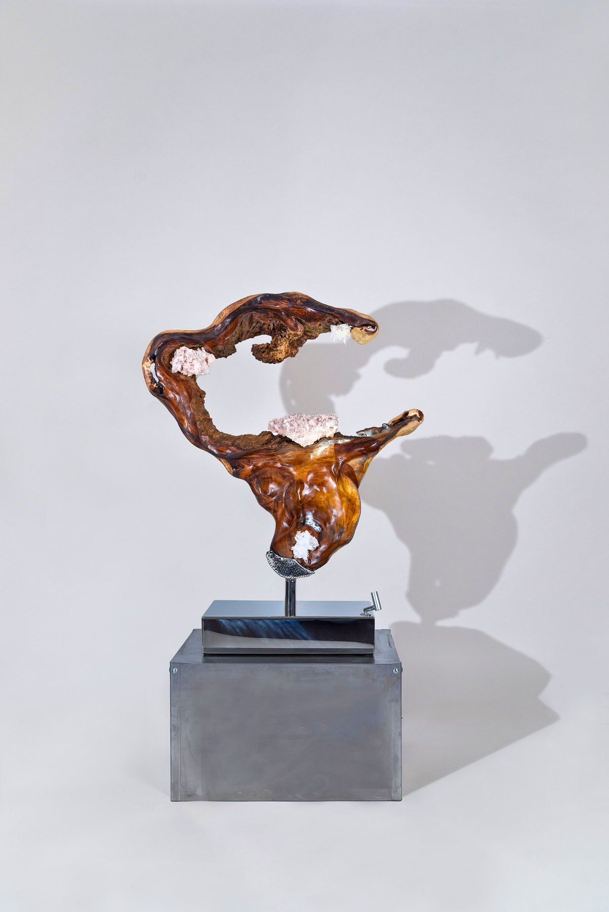 Dorit Schwartz – Vessel of Light, original sculpture in suar wood, view 1 of 2